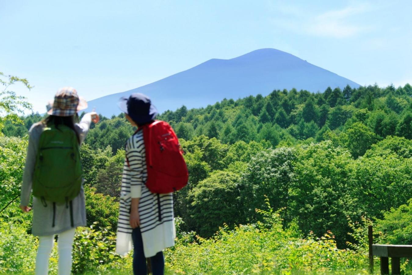 Ana Holiday Inn Resort Karuizawa By Ihg 北軽井沢 エクステリア 写真