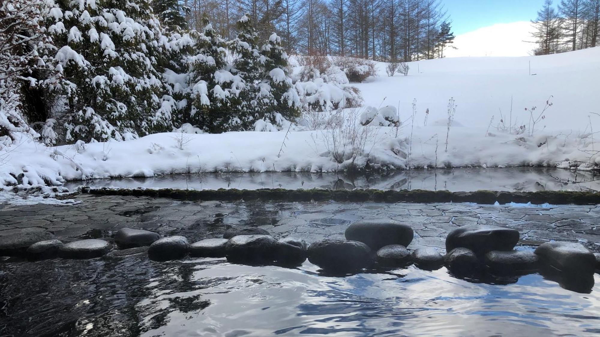 Ana Holiday Inn Resort Karuizawa By Ihg 北軽井沢 エクステリア 写真